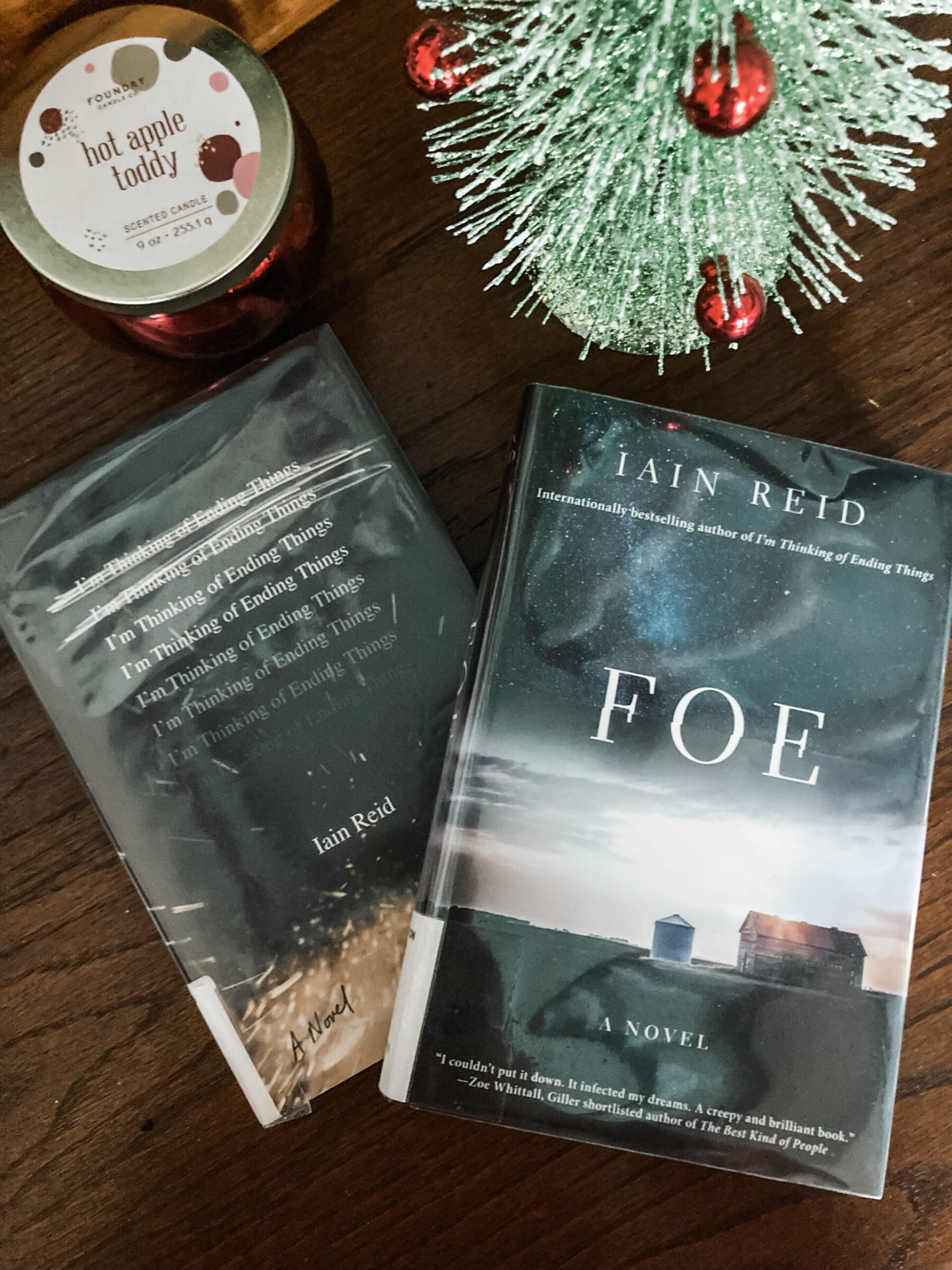 The Mother-Daughter Book Club #3—Foe and I’m Thinking of Ending Things, by Ian Reid